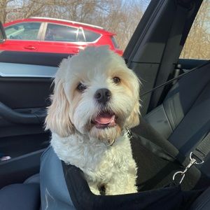 Meet your Posher, Kaye